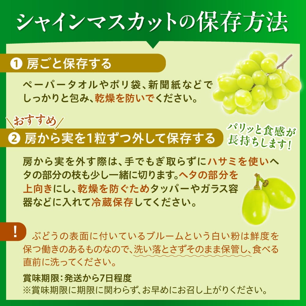 ã什å8幎ç£ã ã¶ã©ã ã·ã£ã€ã³ãã¹ã«ãã 1æ¿å
¥ãïŒçŽ600gååŸïŒ ç§å å±±åœ¢çæ²³åçºç£ ã山圢eLabã ka074-022-r8