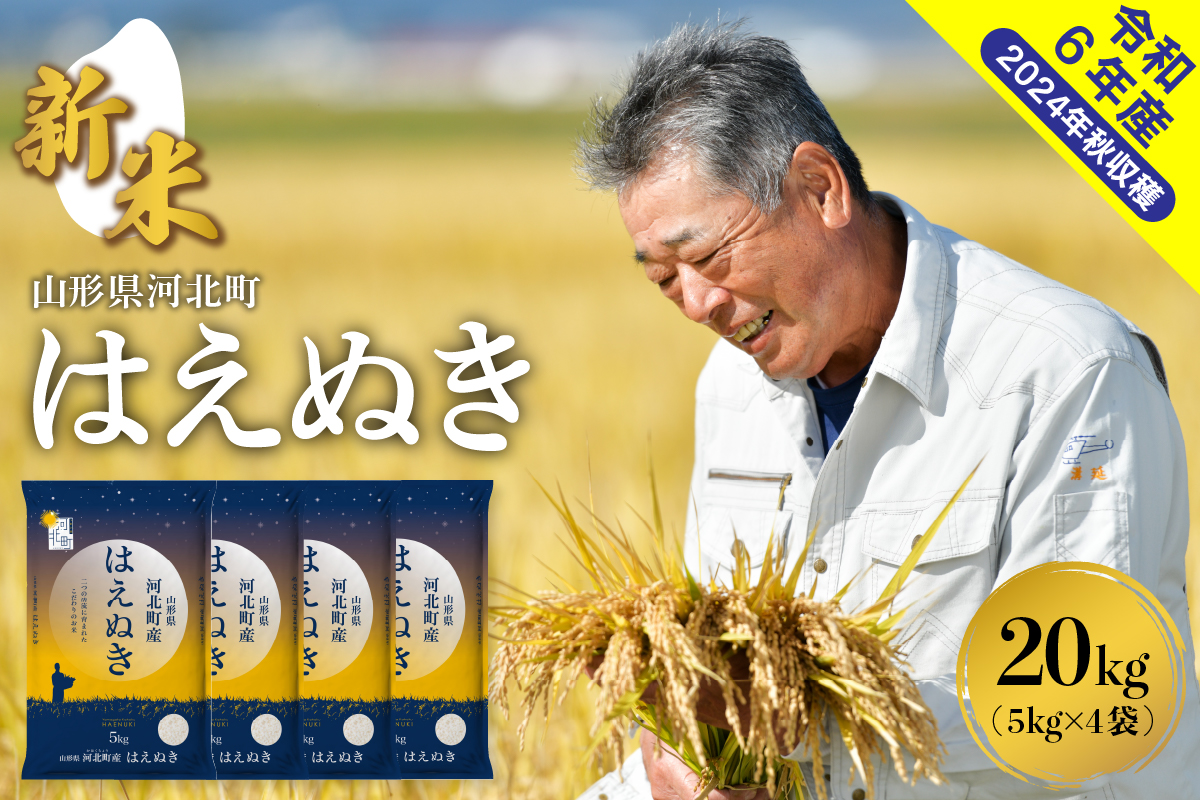 【令和6年産米】2024年12月中旬発送 はえぬき20kg（5kg×4袋） 山形県産【米COMEかほく協同組合】