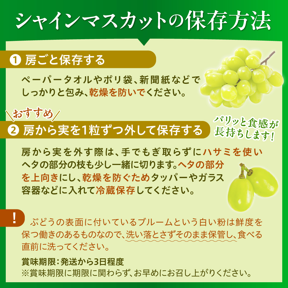 令和8年産【はじまり農園 うの】大粒 シャインマスカット２房（約700g×2房） 山形県河北町産 【河北町観光物産協会】 ka002-004-r8