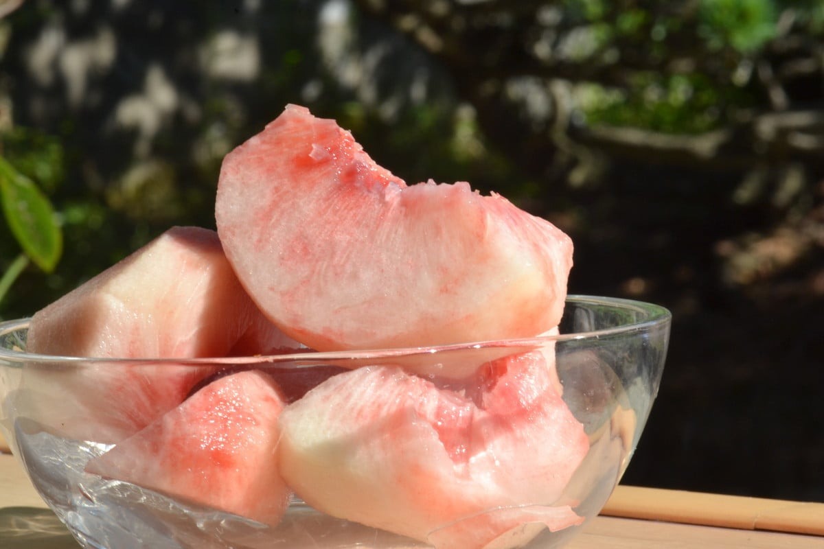 【令和8年産】白桃 品種おまかせ 2kg (6～8玉前後) ギフト箱入 秀品 山形県河北町産 【山形eLab】 ka074-026-r8