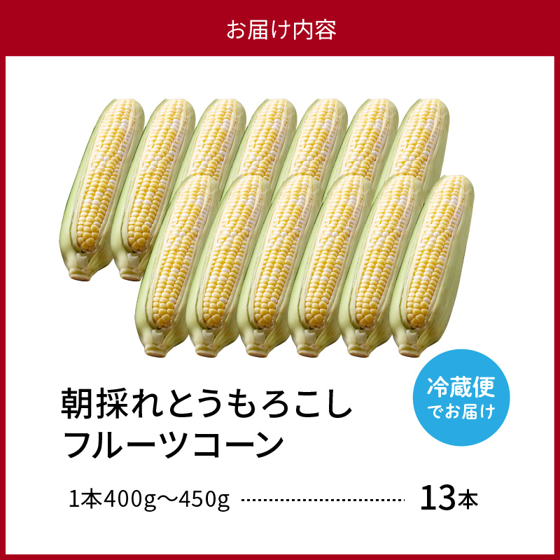 【令和8年産】とにかく甘い、朝採りとうもろこし「フルーツコーン」 13本 【かほくらし社】 ka019-014-13-r8