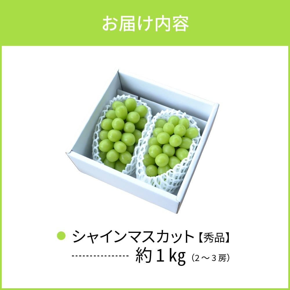 【令和8年産】 ぶどう シャインマスカット 2～3房 約1kg ギフト箱入り 秀品 山形県河北町産 【山形eLab】 ka074-025-r8