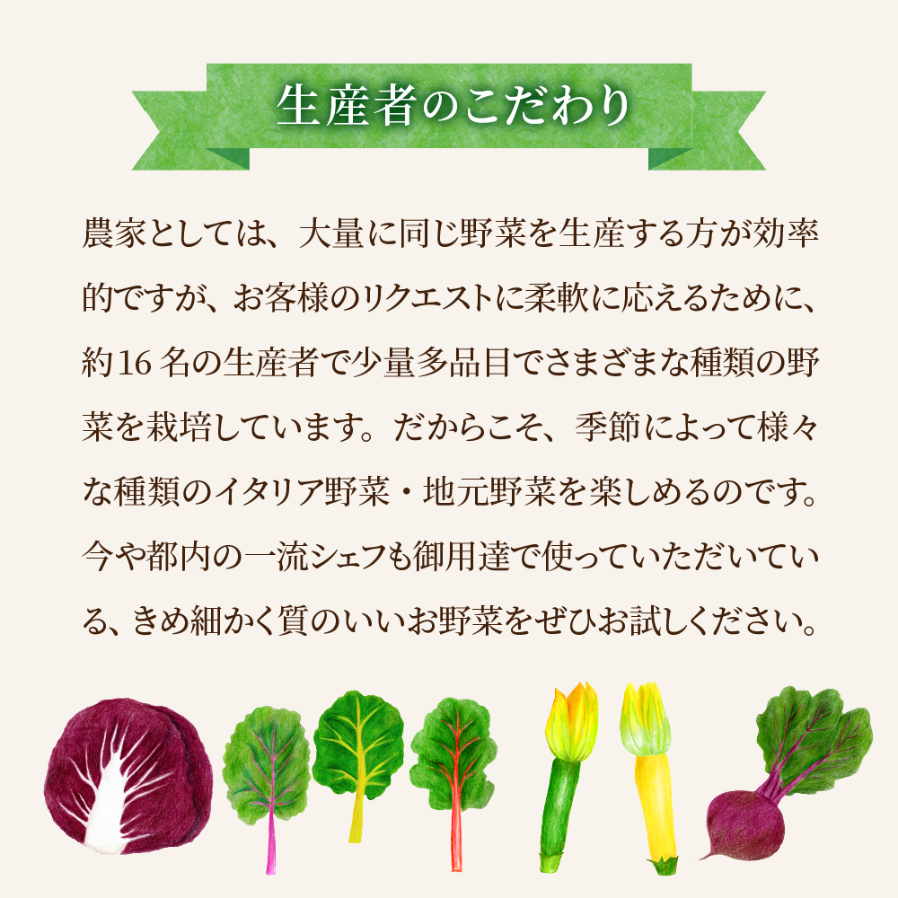 かほくイタリア野菜旬のおまかせBOX（約8〜10種類） 野菜の説明&おしゃれな料理が簡単に作れちゃうレシピ付き♪