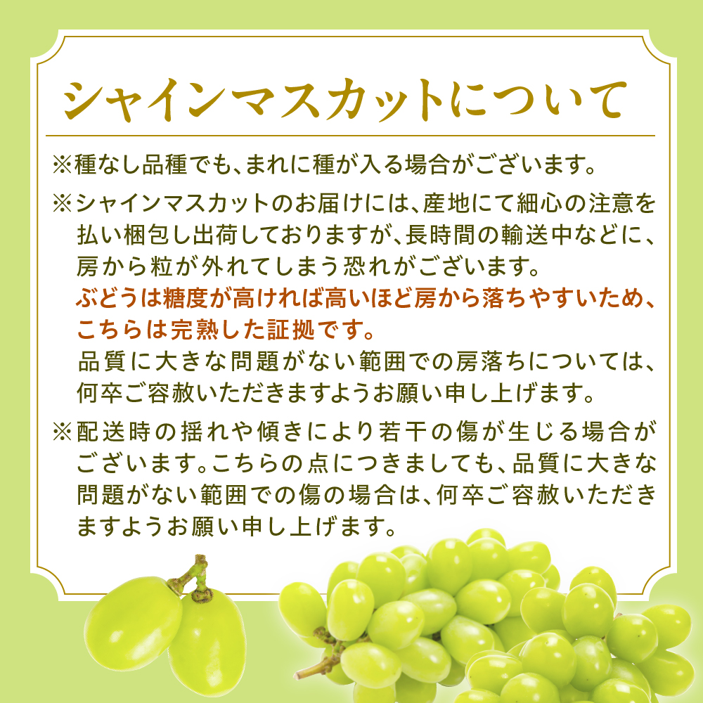 令和8年産【はじまり農園 うの】大粒 シャインマスカット２房（約700g×2房） 山形県河北町産 【河北町観光物産協会】 ka002-004-r8