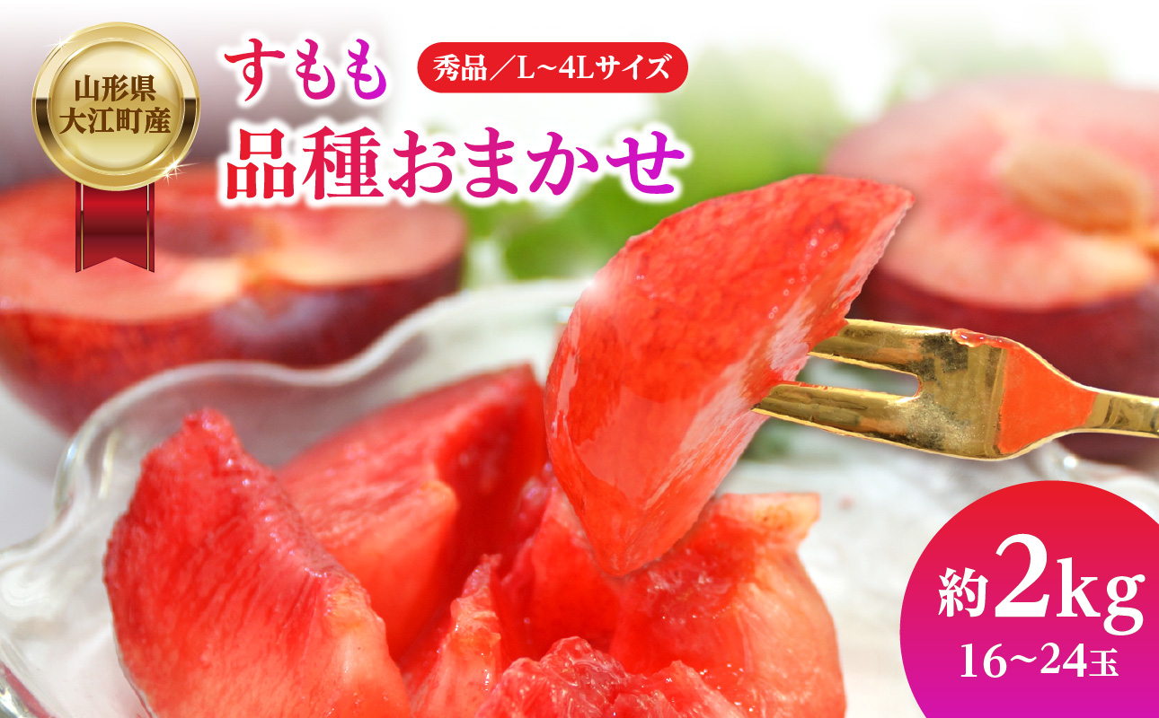 山形県大江町産 品種おまかせ すもも【2026年8月上旬～順次発送予定】