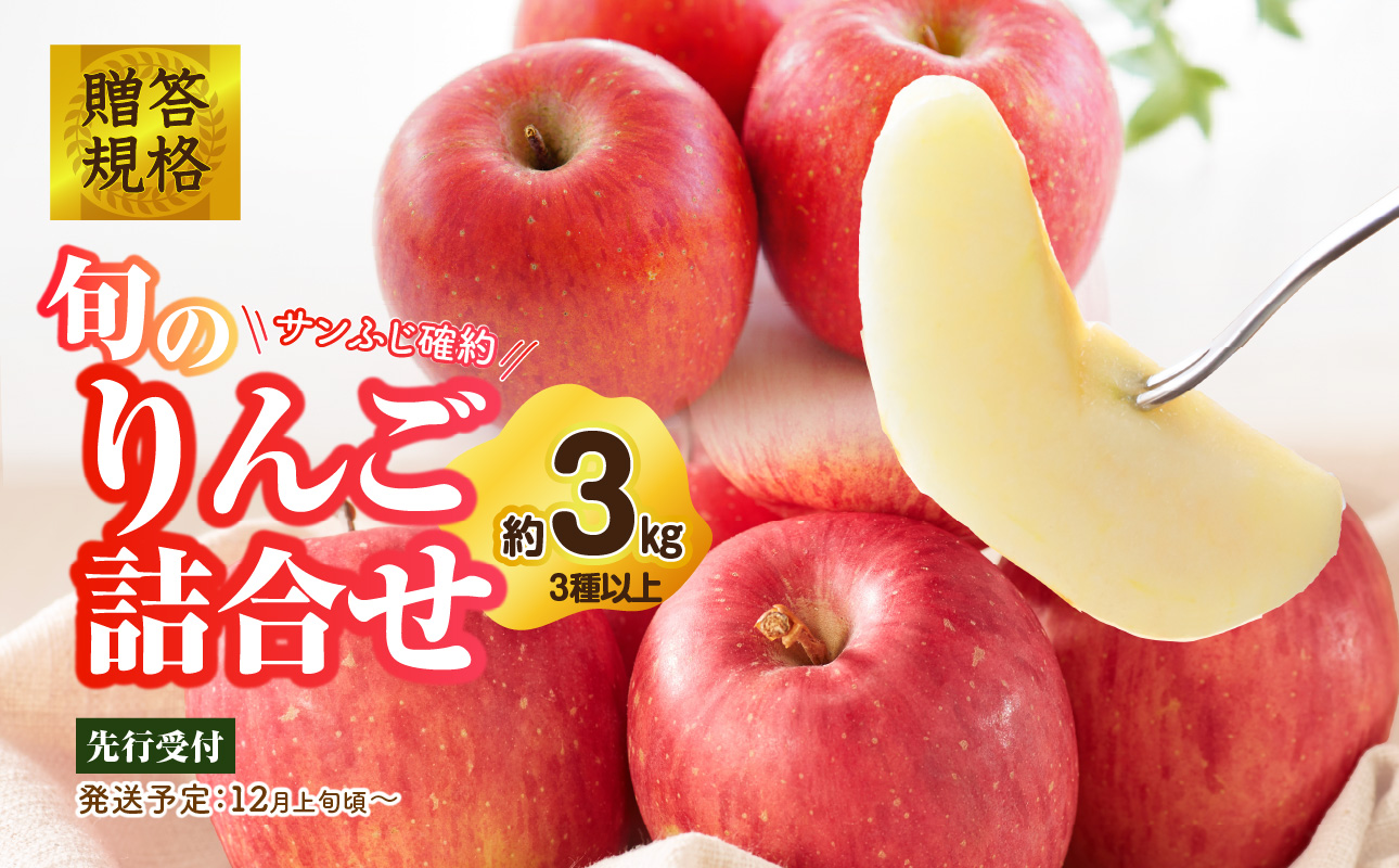 《先行受付》贈答規格 旬のりんご詰合せ約3kg（サンふじ確約3種以上）特秀～秀 大江町産【2026年12月上旬頃～発送予定】【大江町産・山形りんご・りんご専科 清野】