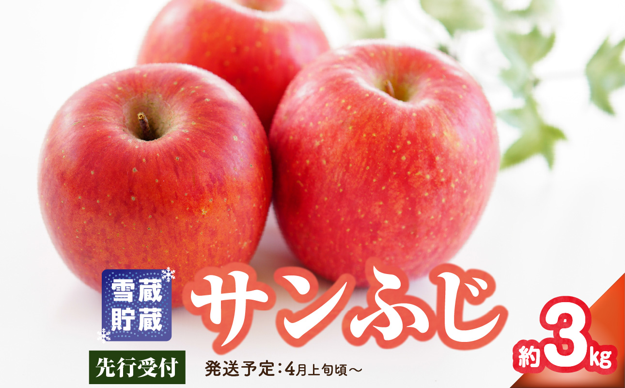 《先行受付》贈答規格 雪蔵貯蔵 サンふじ 約3kg【2026年4月上旬頃～発送予定】【大江町産・山形りんご・りんご専科 清野】