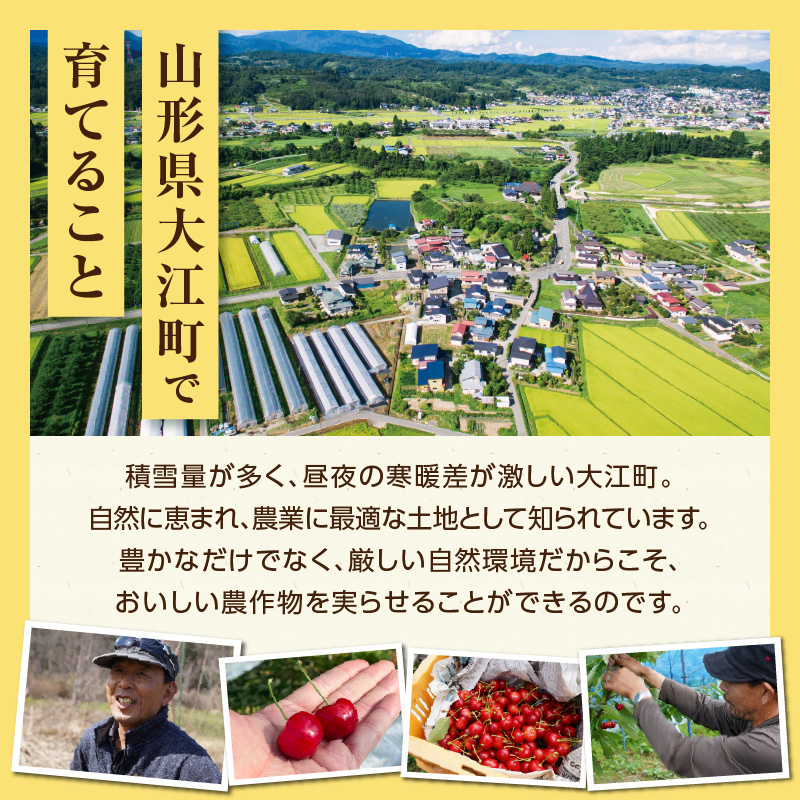 ãå
è¡åä»ãæè±ïŒå³é¢šéŠïŒçŽ1kgã2026幎7æäžæ¬ããé æ¬¡çºéäºå®ã