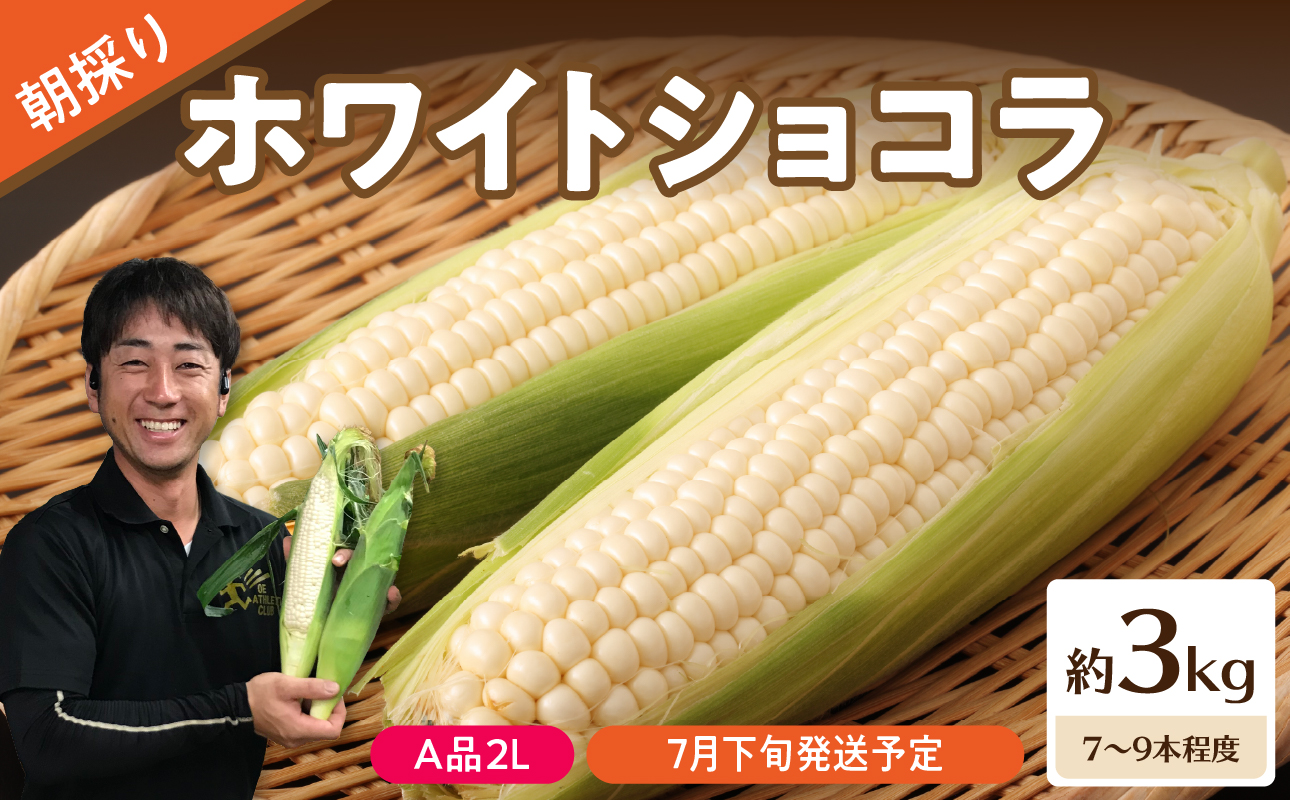 《先行受付》朝採りホワイトショコラ約3kg・A品2L・7～9本程度 【2026年7月下旬頃～発送予定】【山形とうもろこし・大江町産・明石農園】