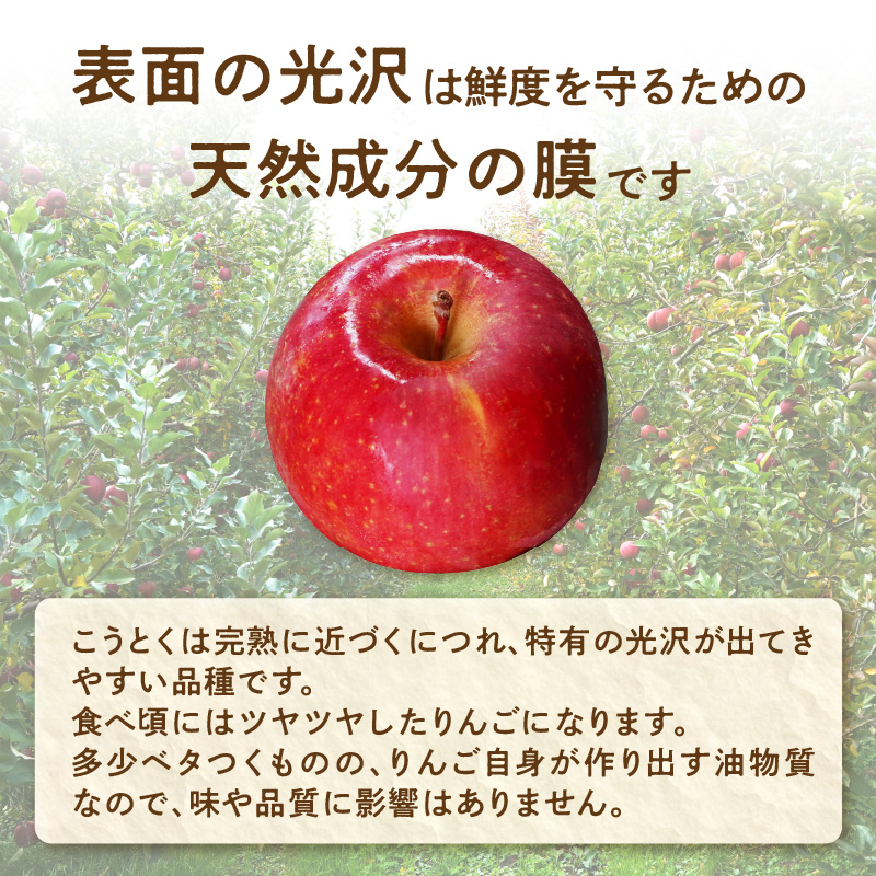 ãå
è¡åä»ãç¹éžãããšããããçŽ2.5kg ã2026幎11æäžæ¬é ïœçºéäºå®ãã倧æ±çºç£ã»å±±åœ¢ãããã»å€§å°èŸ²ç£ã»11æã»12æã