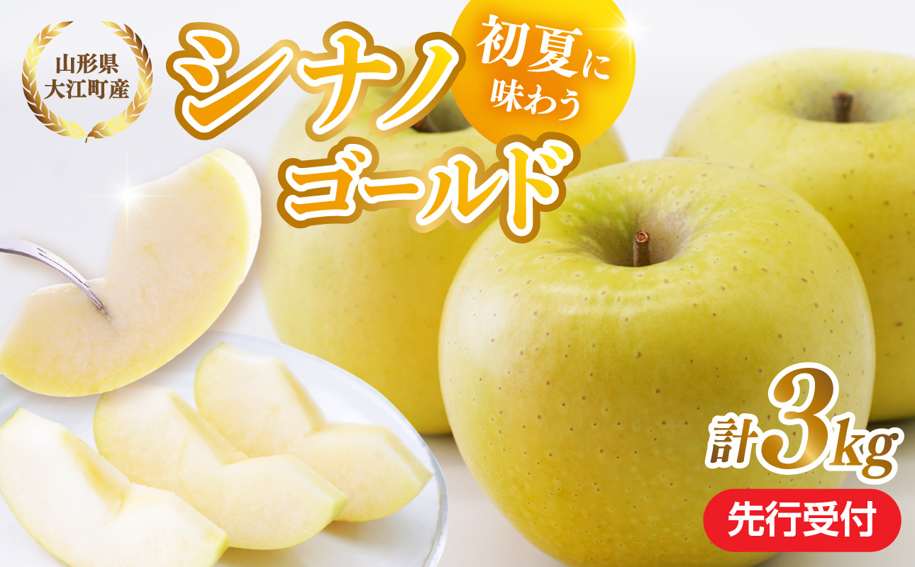 《先行受付》大江町産 りんご シナノゴールド約3kg  【2026年5月上旬頃～順次発送予定】