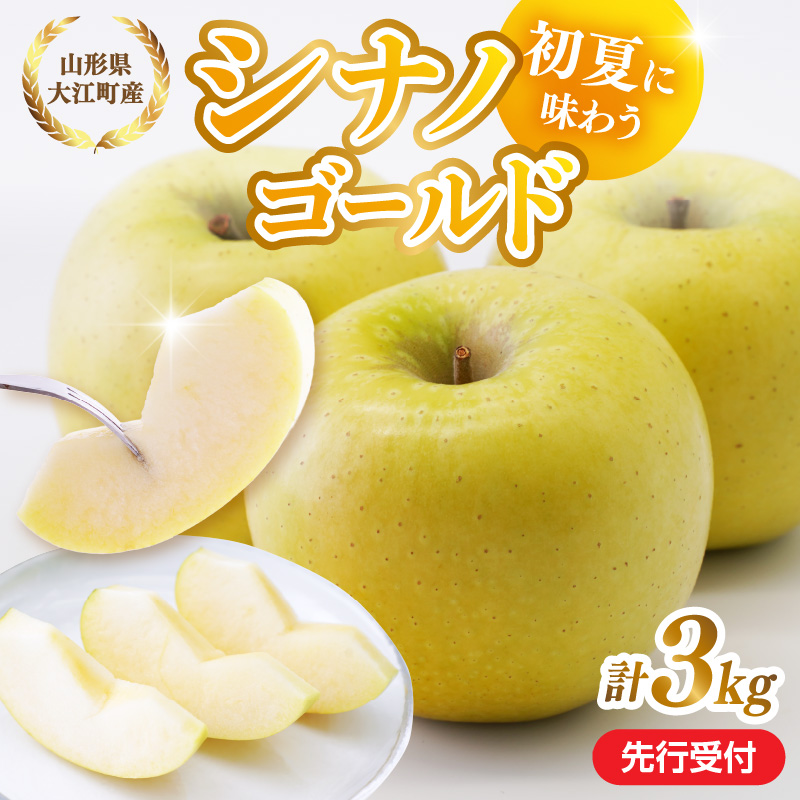 《先行受付》大江町産 りんご シナノゴールド約3kg  【2026年5月上旬頃～順次発送予定】