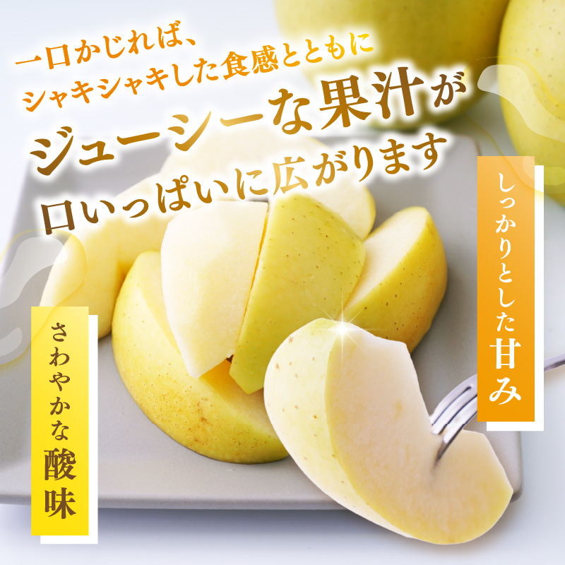 《先行受付》大江町産 りんご シナノゴールド約3kg  【2026年5月上旬頃～順次発送予定】
