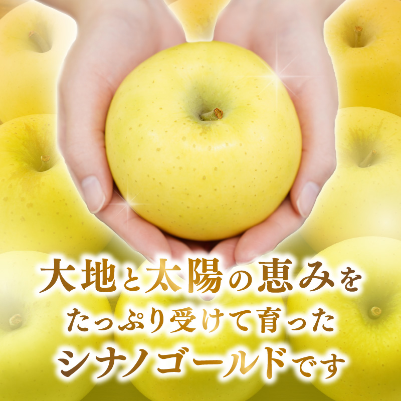 《先行受付》大江町産 りんご シナノゴールド約3kg  【2026年5月上旬頃～順次発送予定】