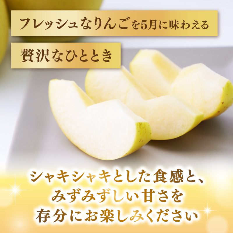《先行受付》大江町産 りんご シナノゴールド約3kg  【2026年5月上旬頃～順次発送予定】
