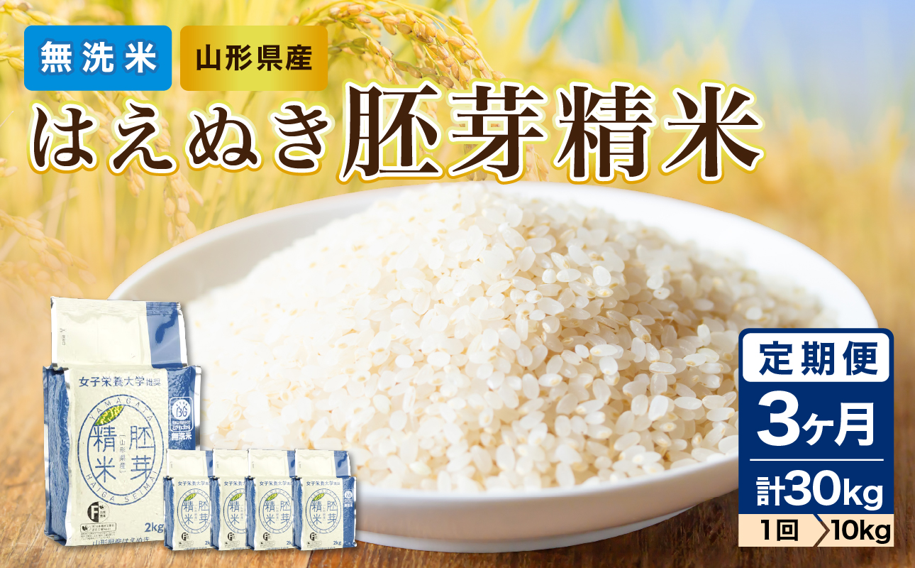 《3ヶ月定期便》山形県産 無洗米 令和7年産 はえぬき 胚芽精米 10kg(2kg×5袋)【山形県産 BG精米製法】