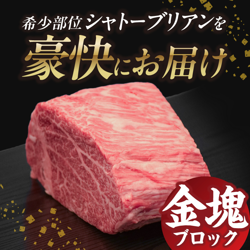 山形牛シャトーブリアン 金塊ブロック 450g  【肉の小林】