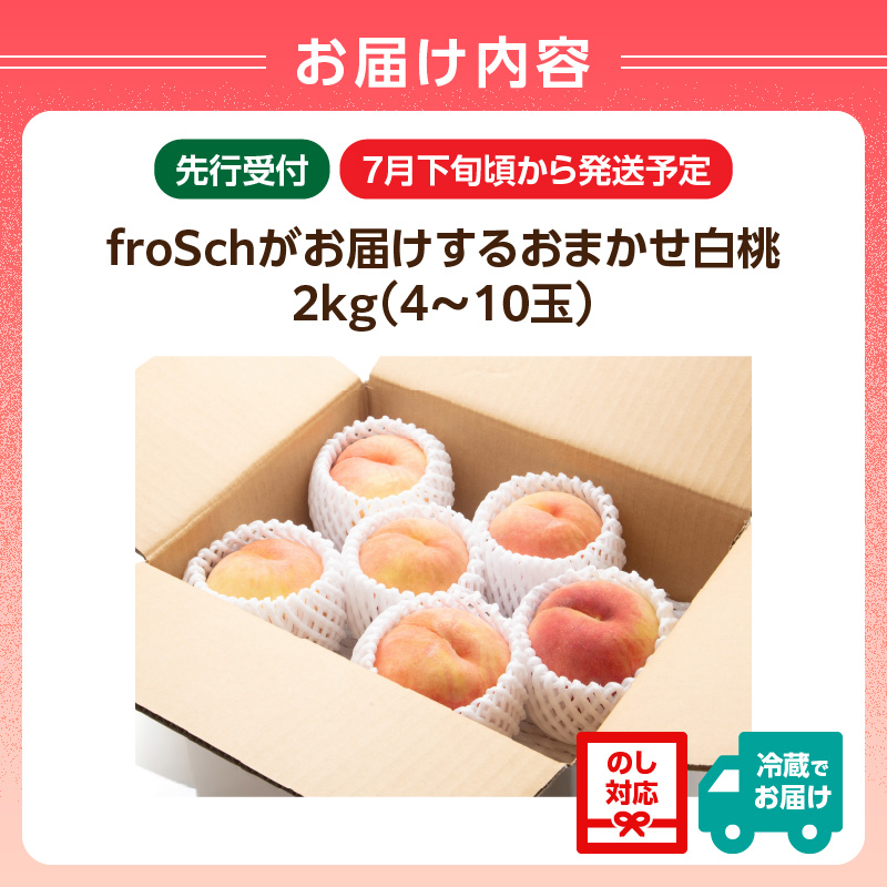 ≪先行受付≫ froSchがお届けするおまかせ白桃 約2kg 【2026年7月下旬より順次発送予定】