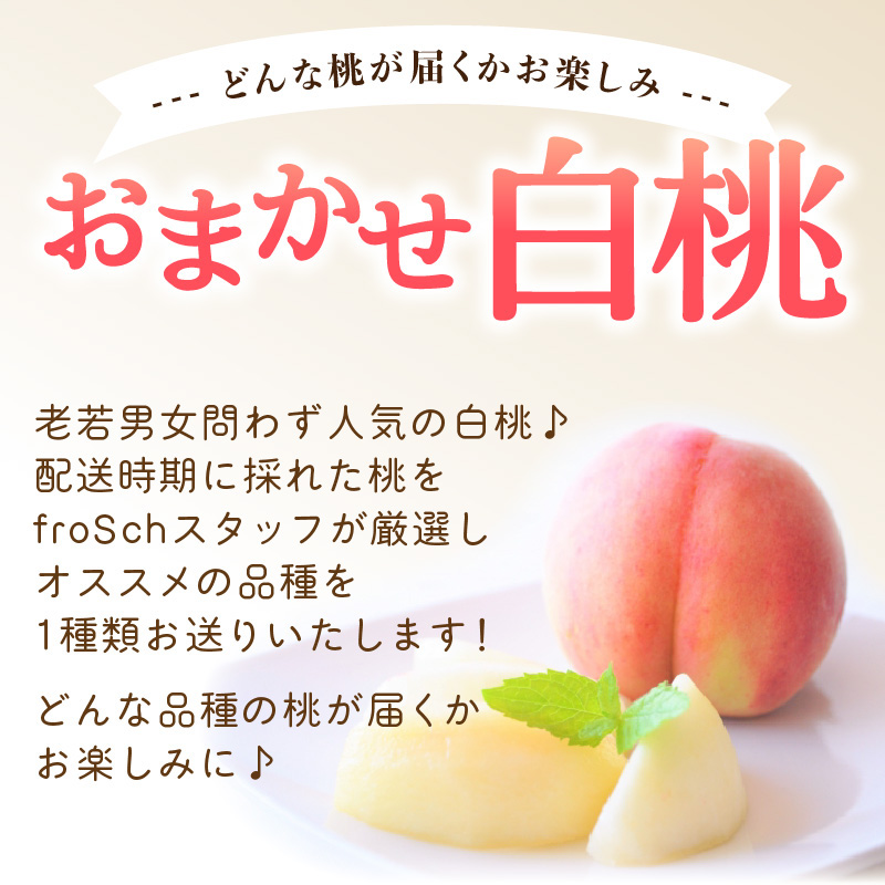 âªå
è¡åä»â« froSchããå±ãããããŸããçœæ¡ çŽ3kg ã2026幎7æäžæ¬ããé æ¬¡çºéäºå®ã