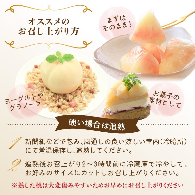 âªå
è¡åä»â« froSchããå±ãããããŸããçœæ¡ çŽ3kg ã2026幎7æäžæ¬ããé æ¬¡çºéäºå®ã