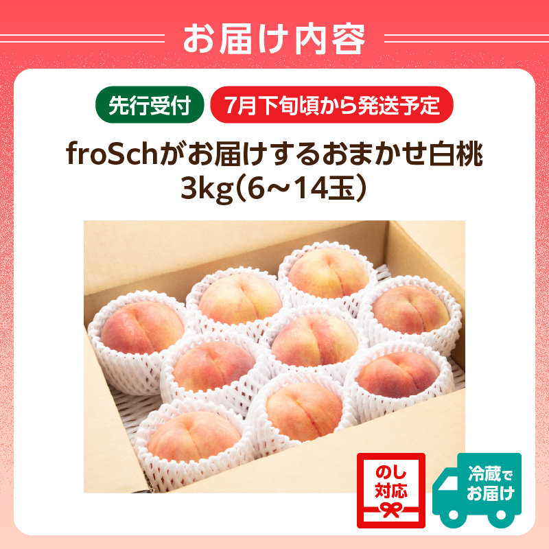 âªå
è¡åä»â« froSchããå±ãããããŸããçœæ¡ çŽ3kg ã2026幎7æäžæ¬ããé æ¬¡çºéäºå®ã