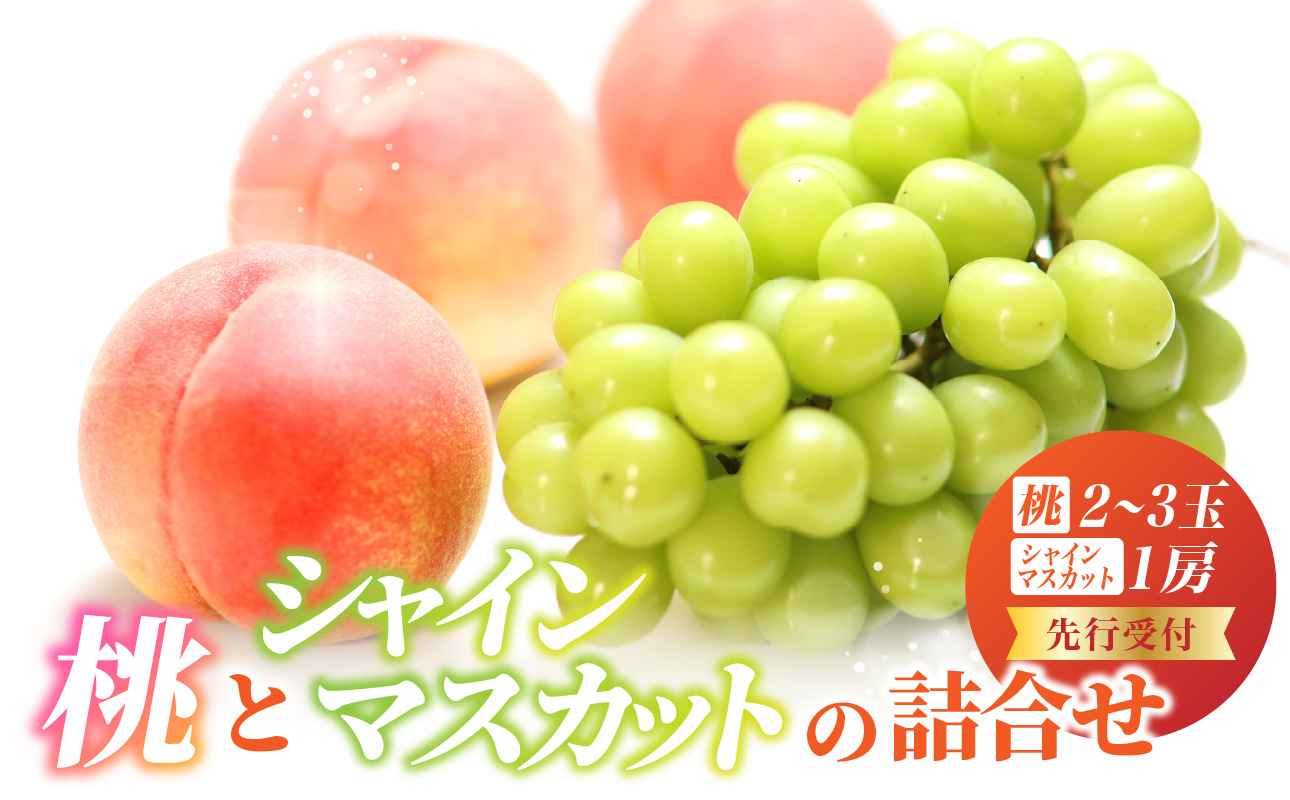 《先行受付》桃とシャインマスカットの詰合せ【2026年9月頃より順次発送予定】