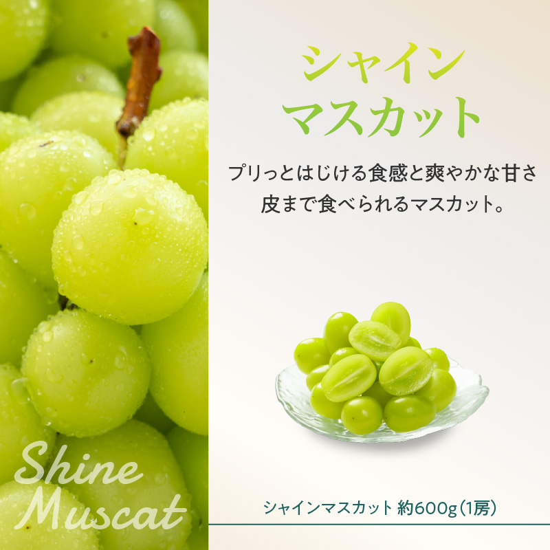 《先行受付》桃とシャインマスカットの詰合せ【2026年9月頃より順次発送予定】