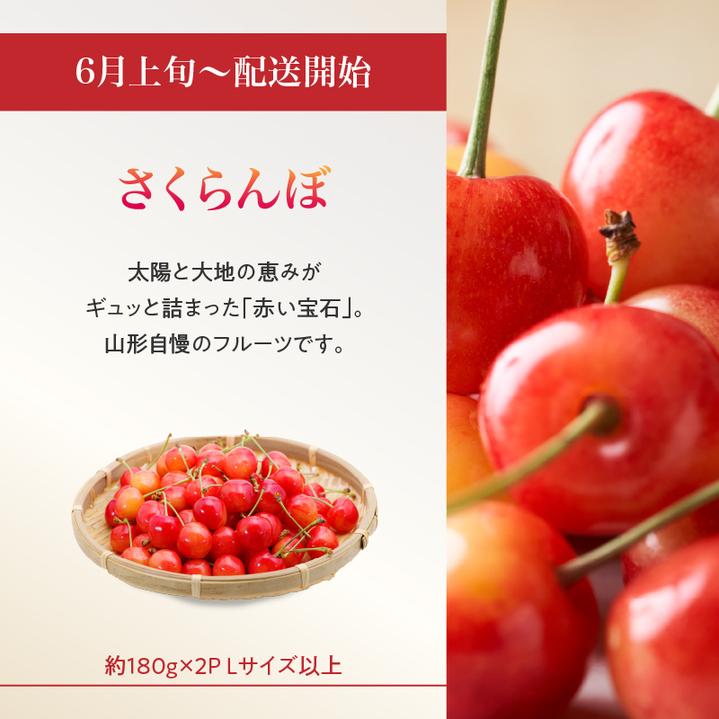 ≪先行受付≫ お・も・て・な・し山形フルーツ便【定期便全６回】