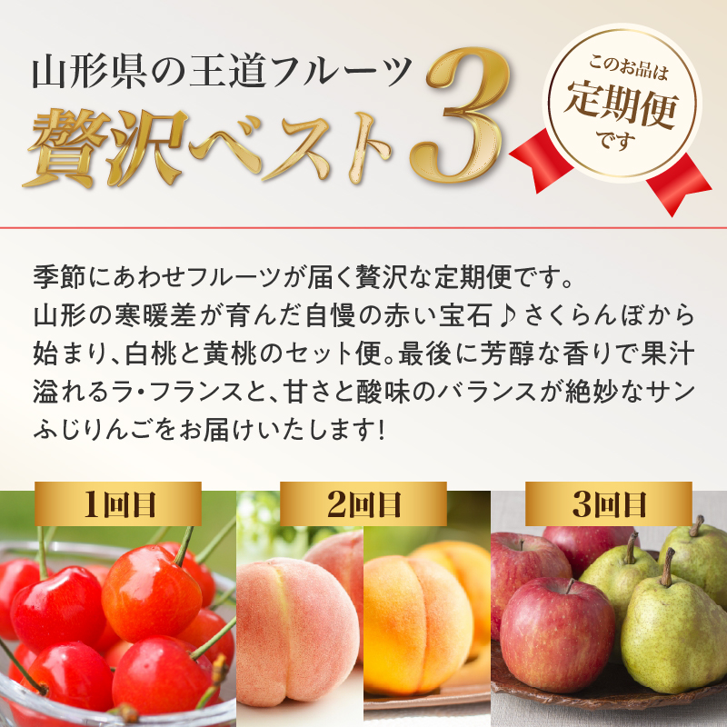 ãå
è¡åä»ãçéãã«ãŒãèŽ
æ²¢ãã¹ãïŒãå®æäŸ¿å
š3åã