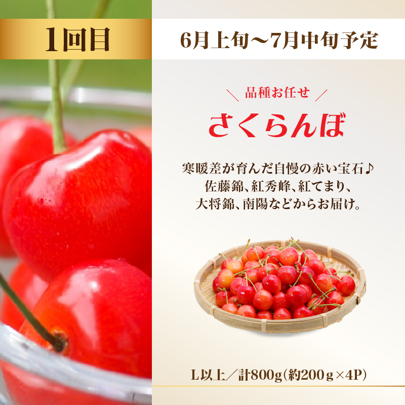 ãå
è¡åä»ãçéãã«ãŒãèŽ
æ²¢ãã¹ãïŒãå®æäŸ¿å
š3åã