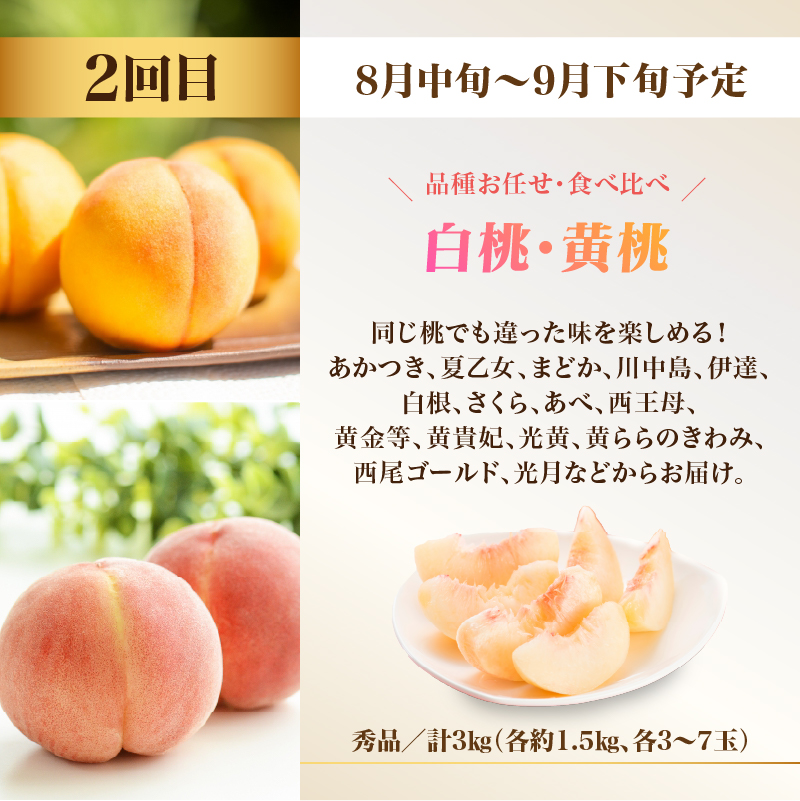 ãå
è¡åä»ãçéãã«ãŒãèŽ
æ²¢ãã¹ãïŒãå®æäŸ¿å
š3åã