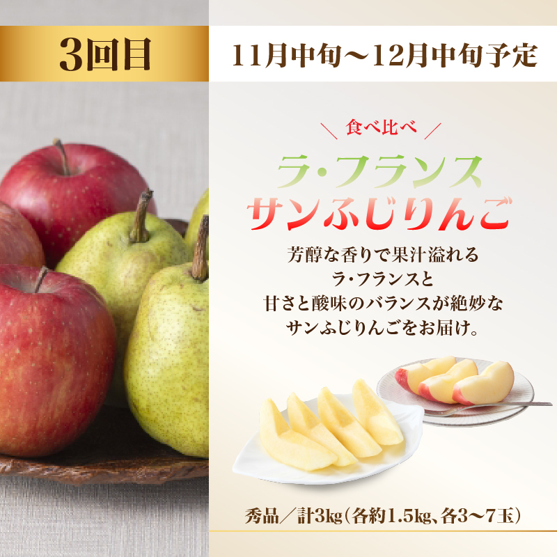 ãå
è¡åä»ãçéãã«ãŒãèŽ
æ²¢ãã¹ãïŒãå®æäŸ¿å
š3åã