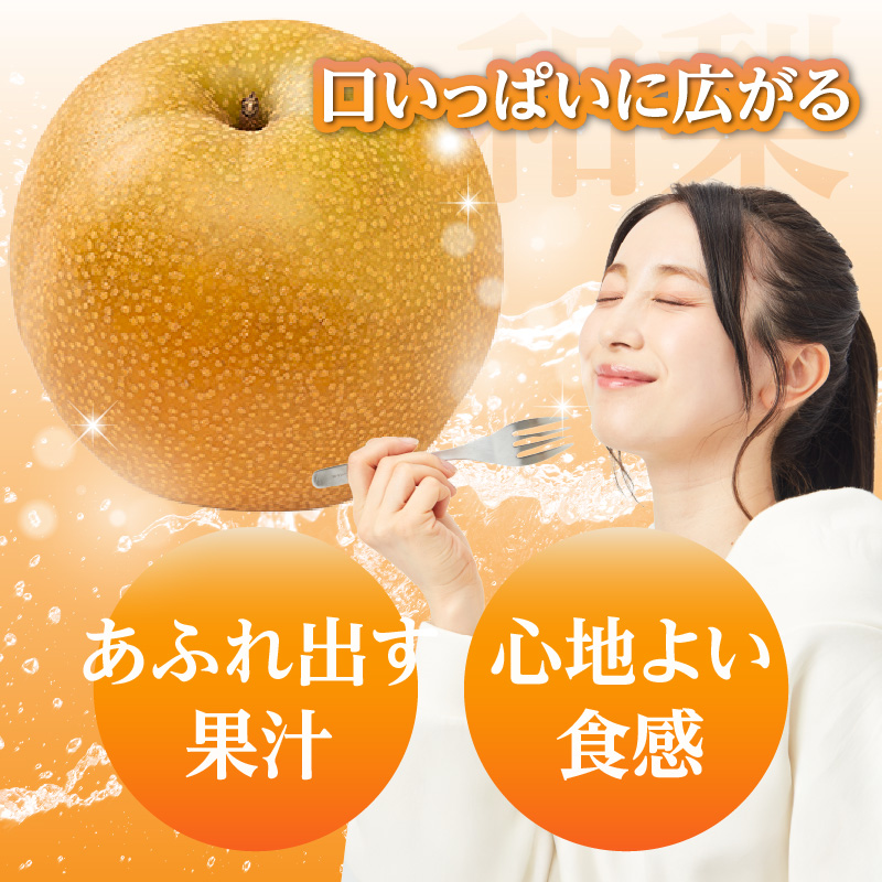 《先行受付》★山形産和梨（品種お任せ）★約3kg(6～12玉程度)秀品【2026年9月頃～順次発送予定】