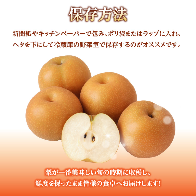 《先行受付》★山形産和梨（品種お任せ）★約3kg(6～12玉程度)秀品【2026年9月頃～順次発送予定】