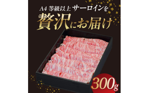 螻ア蠖「迚帙し繝シ繝ュ繧、繝ウ縺吶″辟シ縺 300g 縲占i縺ョ蟆乗棊縲