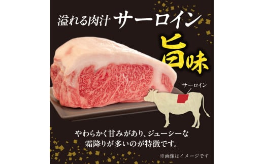 螻ア蠖「迚帙し繝シ繝ュ繧、繝ウ縺吶″辟シ縺 300g 縲占i縺ョ蟆乗棊縲