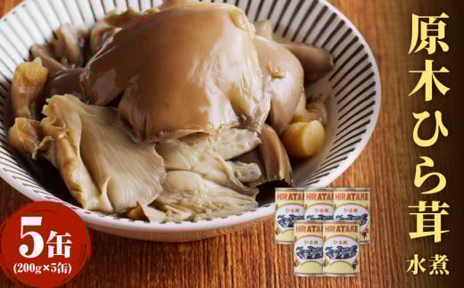 大江町柳川産 原木ひら茸水煮200g×5缶(固形量）
