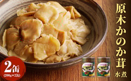大江町柳川産 原木かのか茸（ブナハリタケ）水煮200g×2缶（固形量）