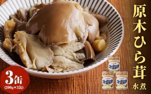 大江町柳川産 原木ひら茸水煮200g×3缶（固形量）