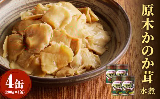 大江町柳川産 原木かのか茸（ブナハリタケ）水煮200g×4缶(固形量）