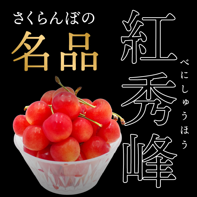 ≪先行受付≫さくらんぼ 佐藤錦 1.08kg (200g×6) M〜Lサイズ【2026年6月中旬頃〜発送予定】【山形県産さくらんぼ】
