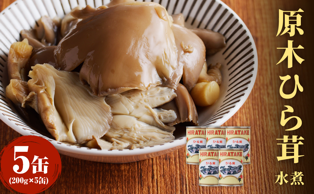大江町柳川産 原木ひら茸水煮200g×5缶(固形量）