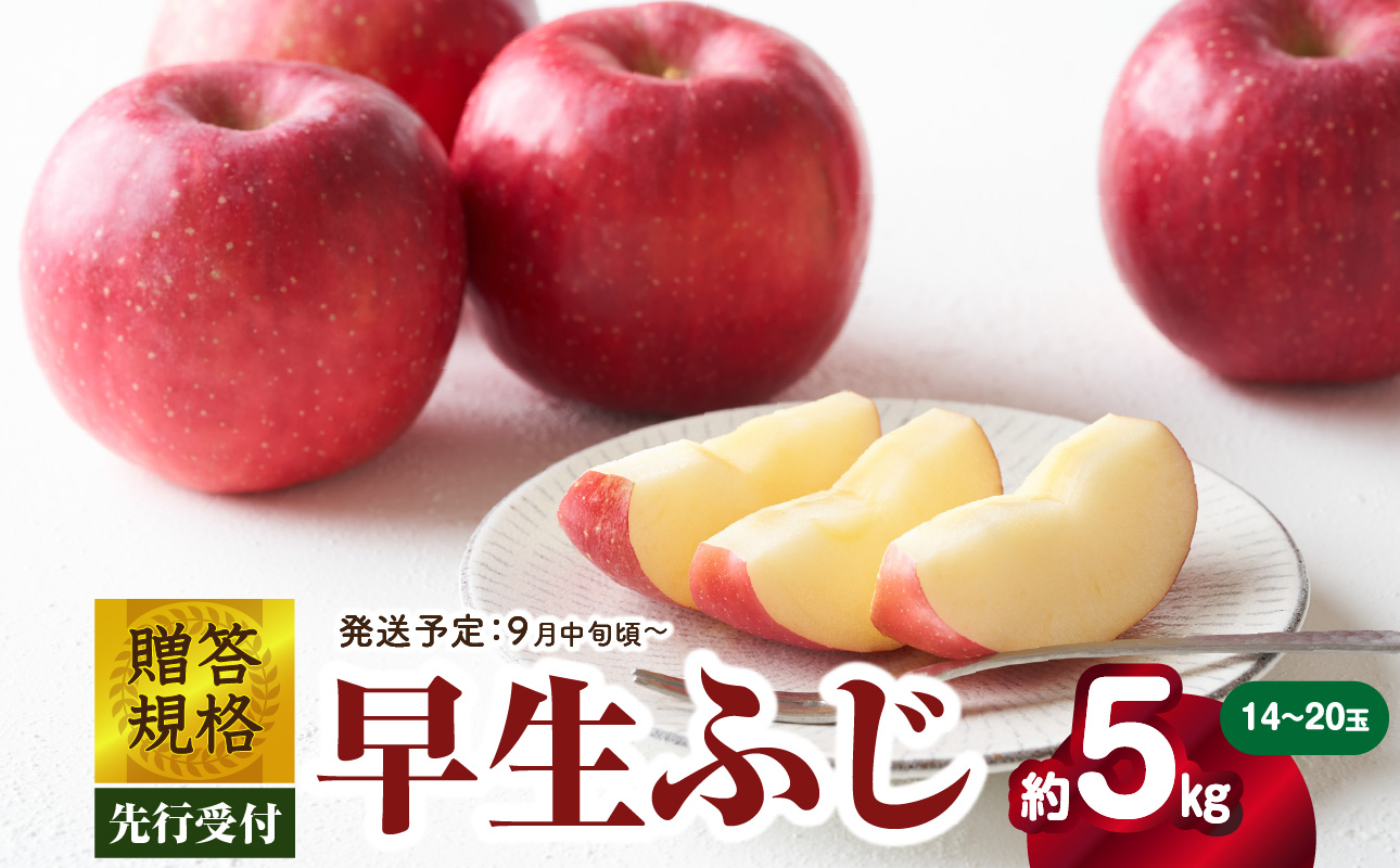 《先行受付》贈答規格 早生ふじ約5kg（特秀〜秀14〜20玉）【2026年9月中旬頃〜発送予定】【大江町産・山形りんご・りんご専科 清野】