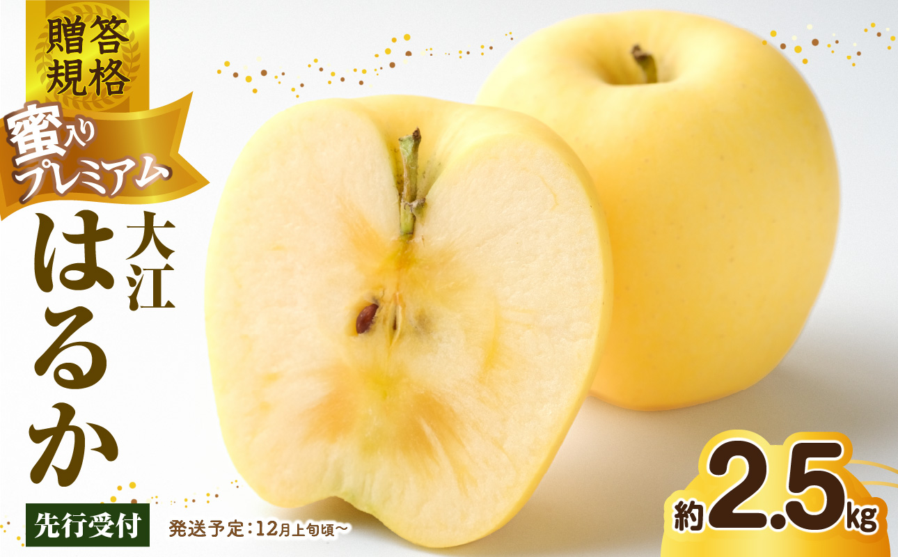 《先行受付》贈答規格 蜜入りプレミアム大江はるか約2.5kg 特秀〜秀【2026年12月上旬〜発送予定】【大江町産・山形りんご・りんご専科 清野】