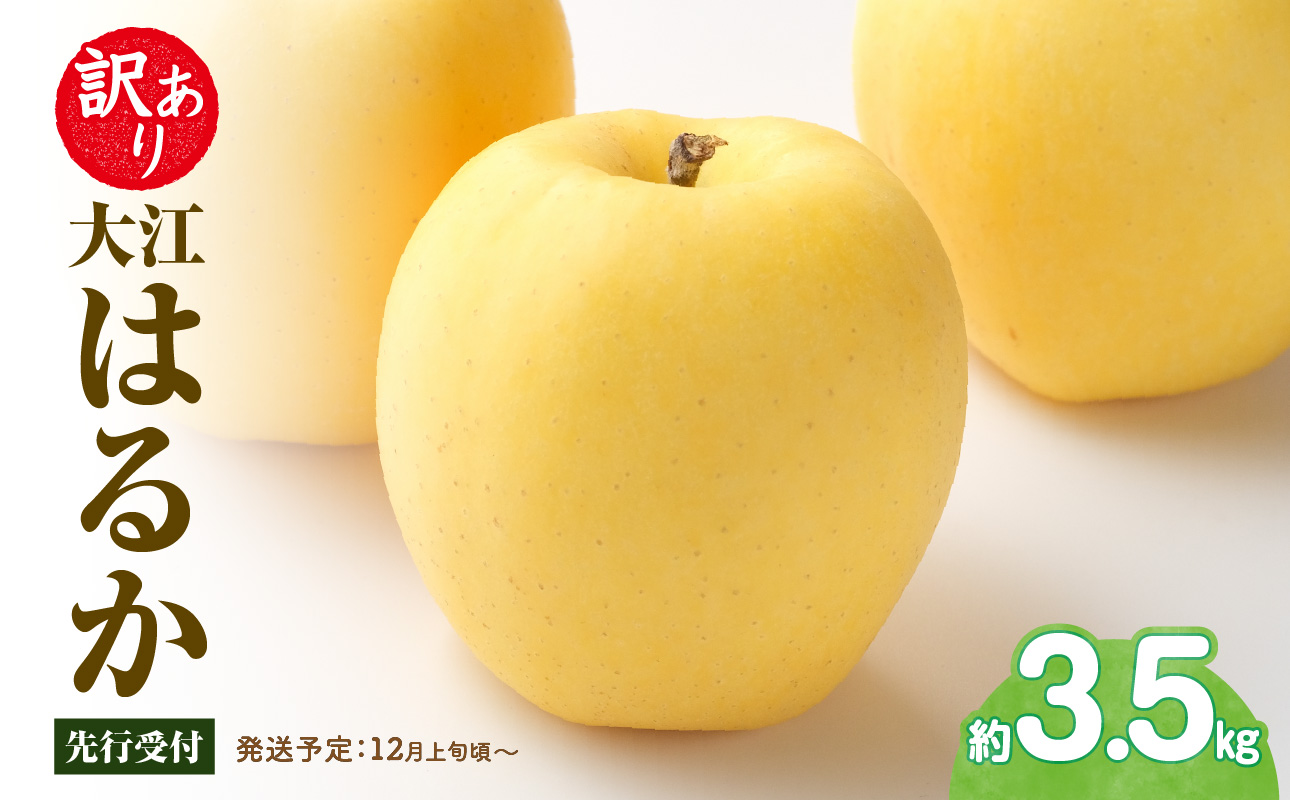 《先行受付》訳あり 大江はるか約3.5kg【2026年12月上旬〜発送予定】【大江町産・山形りんご・りんご専科 清野】