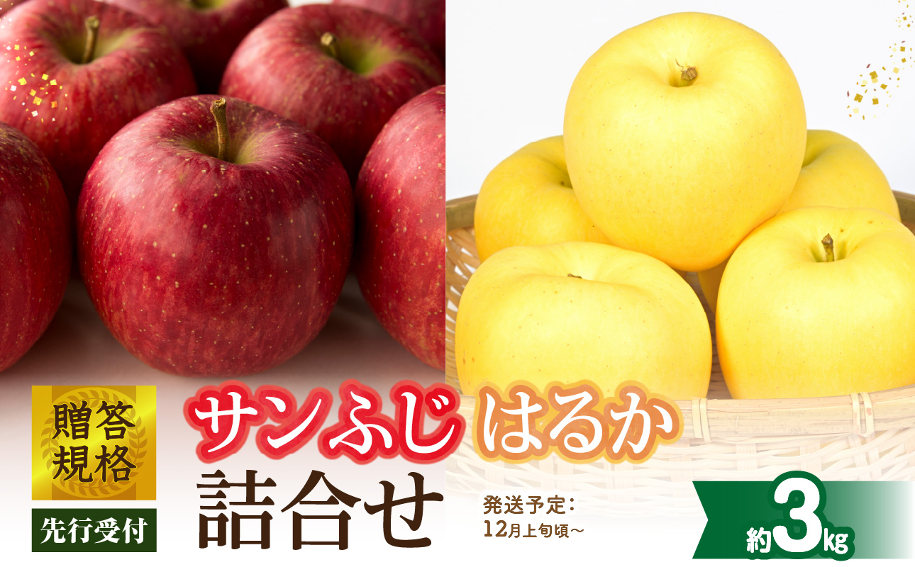 《先行受付》贈答規格「サンふじ」「はるか」約3kg詰合せ（特秀～秀）【2026年12月上旬～発送予定】【大江町産・山形りんご・りんご専科 清野】