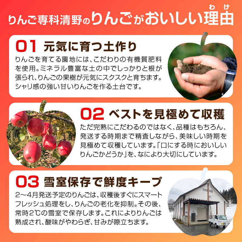 《先行受付》訳あり 大江はるか約3.5kg【2026年12月上旬〜発送予定】【大江町産・山形りんご・りんご専科 清野】