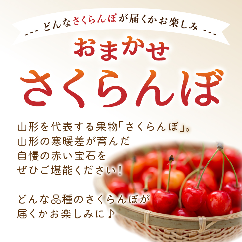 《先行受付》「赤い宝石」おまかせさくらんぼ 200ｇ×4Ｐ【2026年6月頃より順次発送予定】