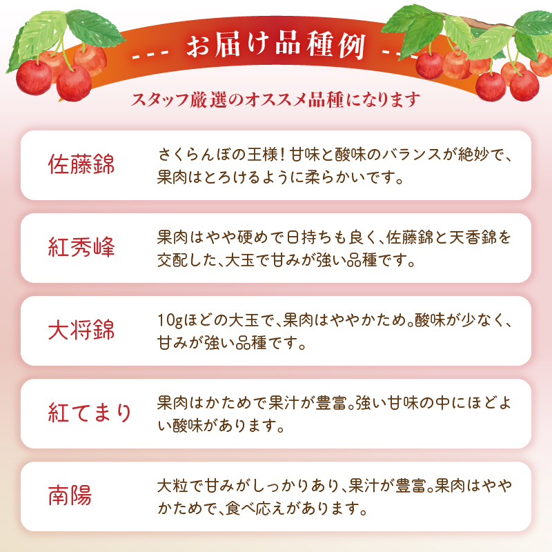 《先行受付》「赤い宝石」おまかせさくらんぼ 200ｇ×4Ｐ【2026年6月頃より順次発送予定】