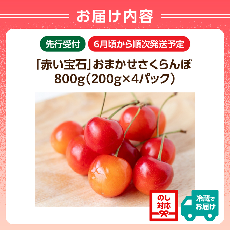 《先行受付》「赤い宝石」おまかせさくらんぼ 200ｇ×4Ｐ【2026年6月頃より順次発送予定】